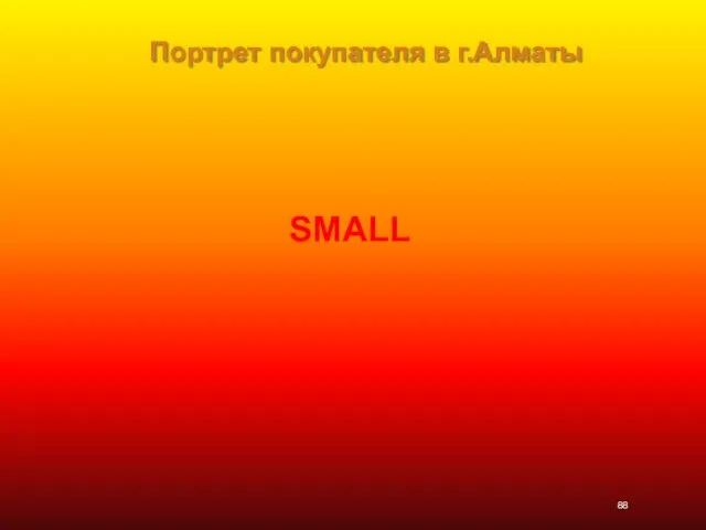 Портрет покупателя в г.Алматы SMALL