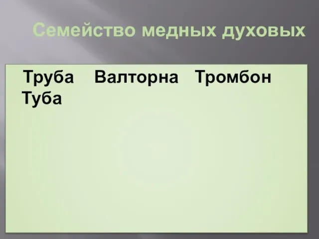 Семейство медных духовых Труба Валторна Тромбон Туба