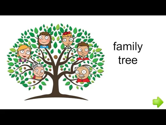 family tree