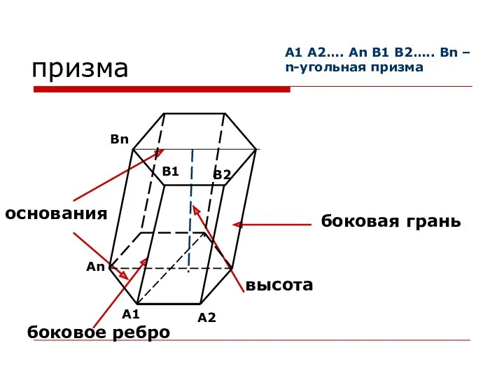 призма основания боковая грань высота боковое ребро A1 An A2 В1 Вn В2