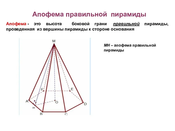 Апофема правильной пирамиды Апофема - это высота боковой грани правильной