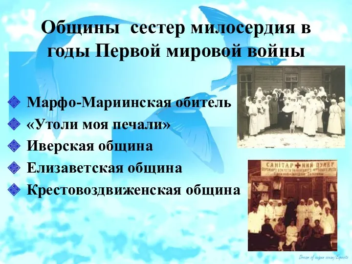 Общины сестер милосердия в годы Первой мировой войны Марфо-Мариинская обитель «Утоли моя печали»