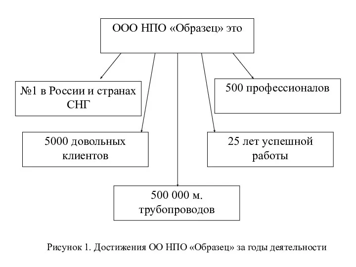 Рисунок 1. Достижения ОО НПО «Образец» за годы деятельности