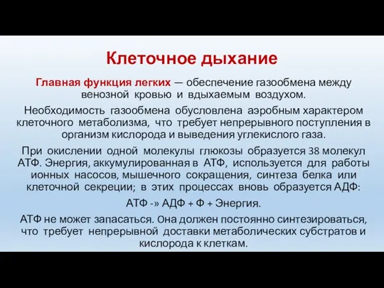 Клеточное дыхание Главная функция легких — обеспечение газообмена между венозной кровью и вдыхаемым