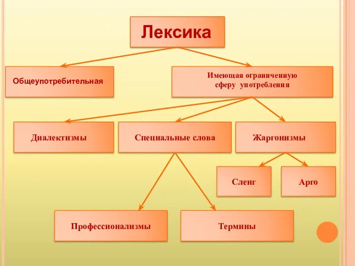 Специальные слова Профессионализмы Лексика Общеупотребительная Имеющая ограниченную сферу употребления Диалектизмы Жаргонизмы Термины Сленг Арго