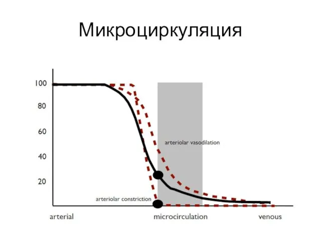 Микроциркуляция