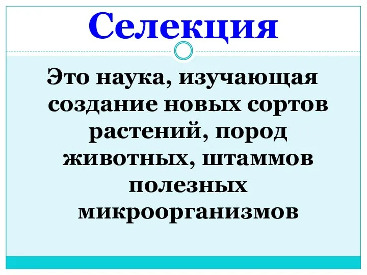 Селекция Это наука, изучающая создание новых сортов растений, пород животных, штаммов полезных микроорганизмов