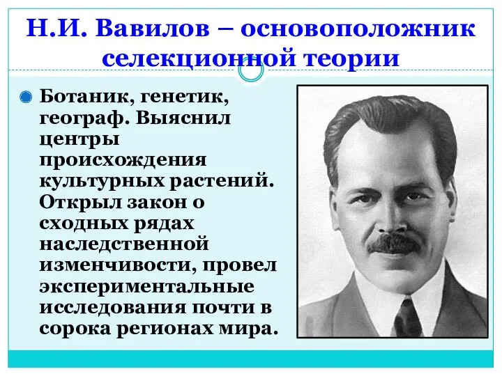 Н.И. Вавилов – основоположник селекционной теории Ботаник, генетик, географ. Выяснил