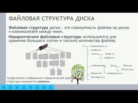 Графическое изображение иерархической файловой структуры называется деревом. E:\ видеозапись.avi график.xls