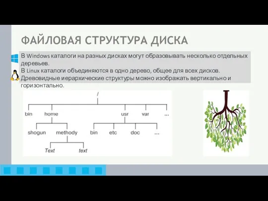 Файловая структура диска В Windows каталоги на разных дисках могут