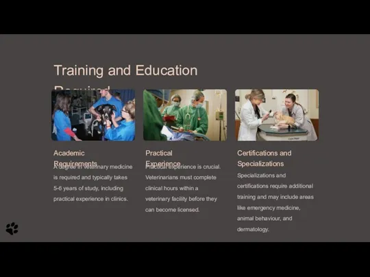 Training and Education Required Academic Requirements A degree in veterinary