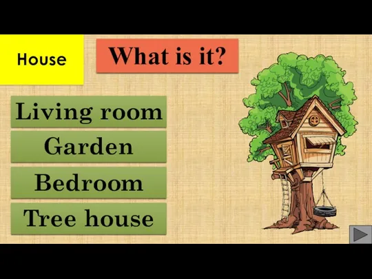 Tree house Bedroom Garden Living room What is it? House