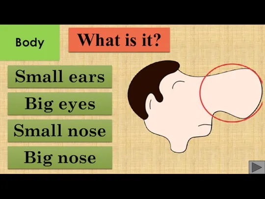 Small nose Small ears Big eyes Big nose What is it? Body