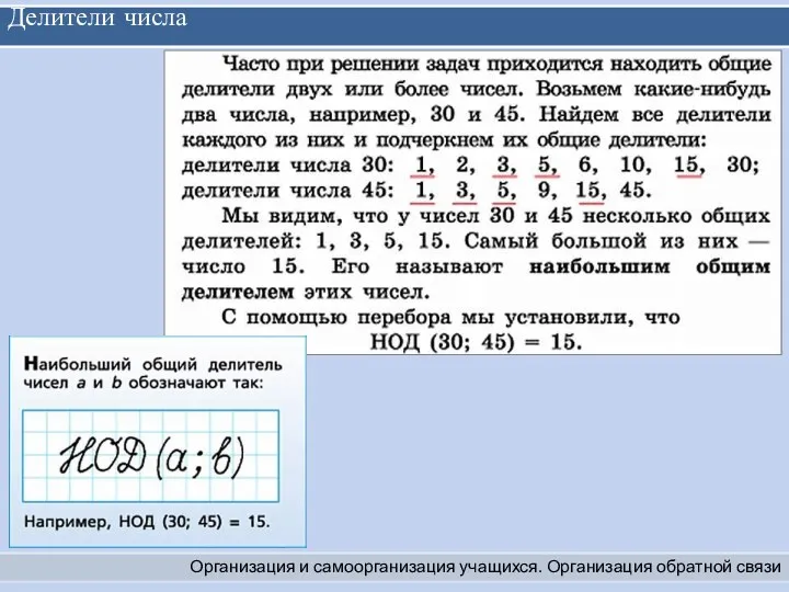 Делители числа Организация и самоорганизация учащихся. Организация обратной связи