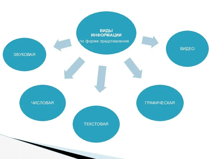 по форме представления