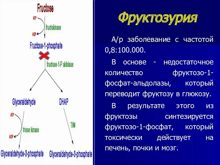 Фруктозурия А/р заболевание с частотой 0,8:100.000. В основе - недостаточное