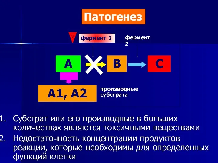 А В С А1, А2 фермент 1 фермент 2 Субстрат