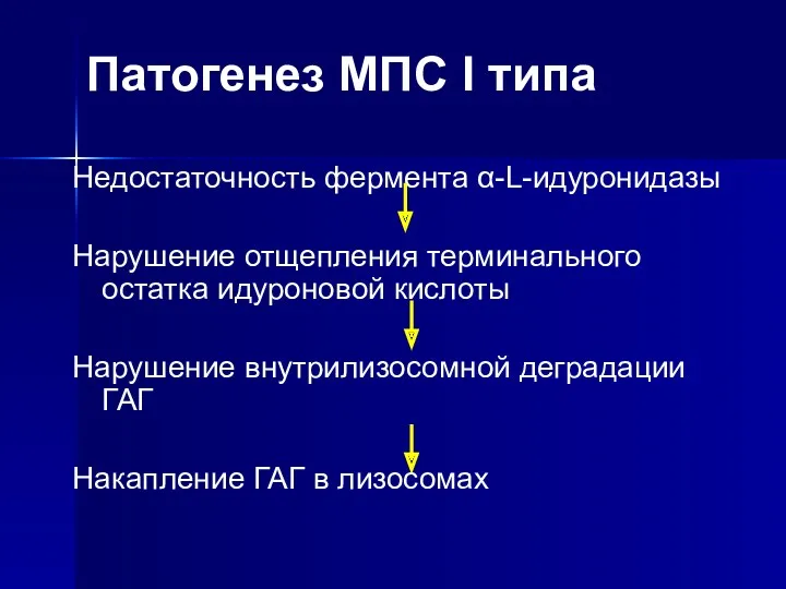 Патогенез МПС I типа Недостаточность фермента α-L-идуронидазы Нарушение отщепления терминального остатка идуроновой кислоты