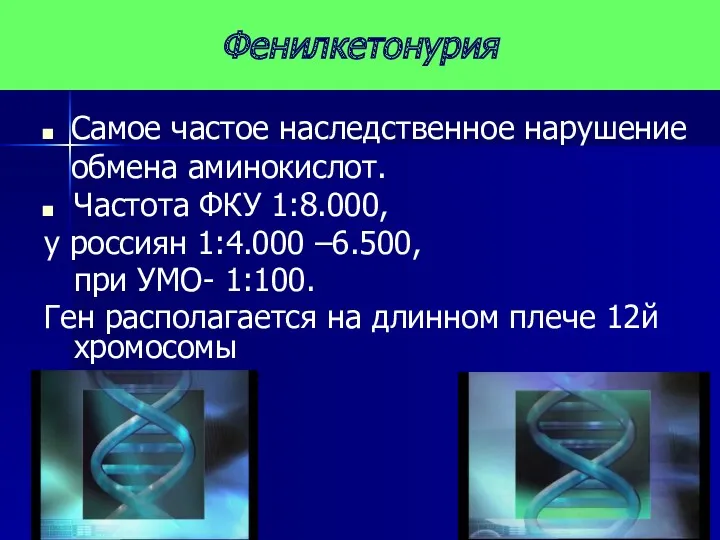 Фенилкетонурия Самое частое наследственное нарушение обмена аминокислот. Частота ФКУ 1:8.000,