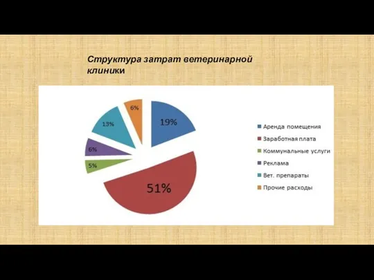 Структура затрат ветеринарной клиники