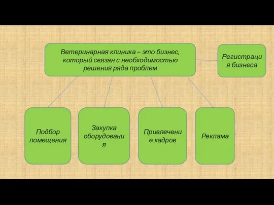 Ветеринарная клиника – это бизнес, который связан с необходимостью решения