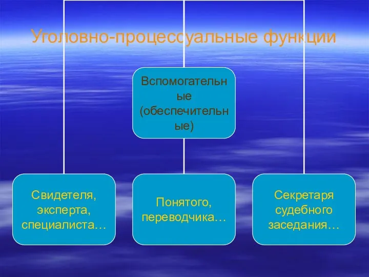 Уголовно-процессуальные функции