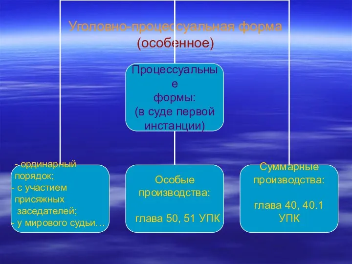 Уголовно-процессуальная форма (особенное)