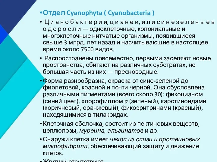 Отдел Cyanophyta ( Cyanobacteria ) Ц и а н о