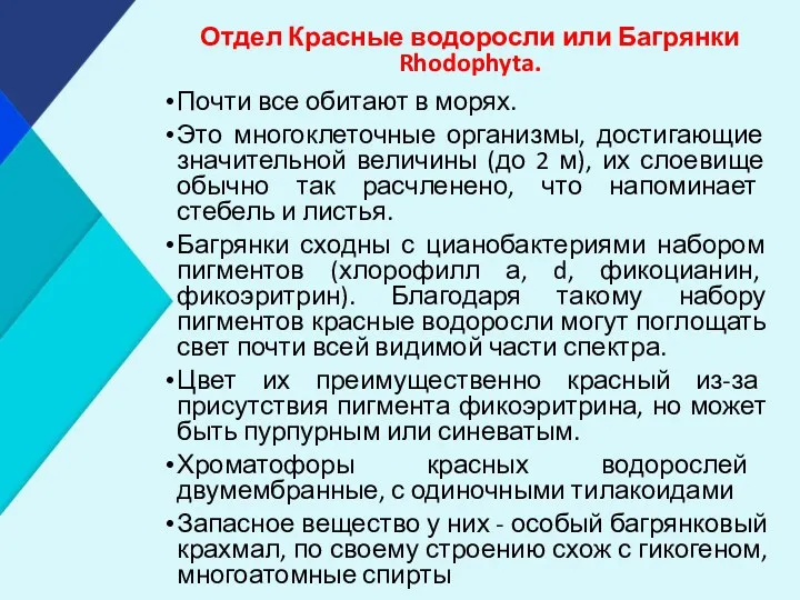 Отдел Красные водоросли или Багрянки Rhodophyta. Почти все обитают в