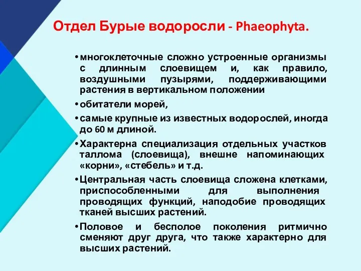 Отдел Бурые водоросли - Phaeophyta. многоклеточные сложно устроенные организмы с