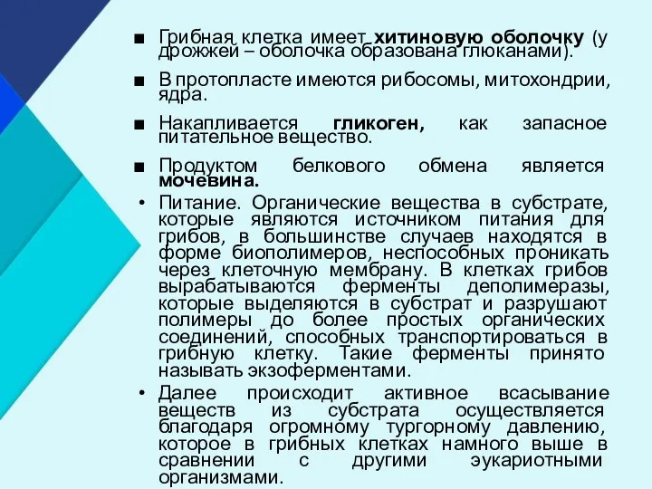 Грибная клетка имеет хитиновую оболочку (у дрожжей – оболочка образована