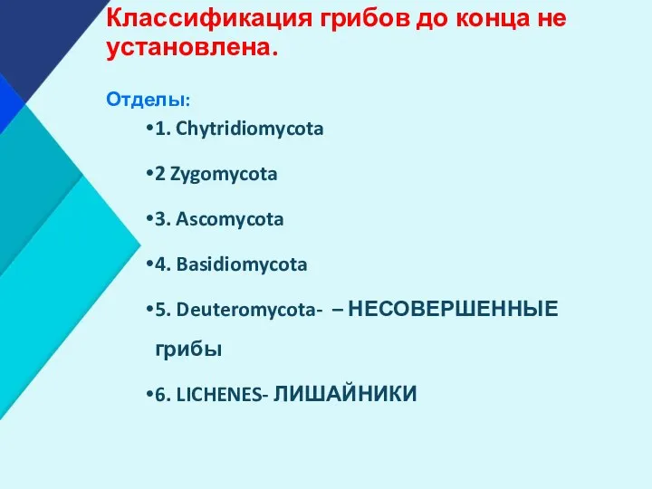 Классификация грибов до конца не установлена. Отделы: 1. Chytridiomycota 2