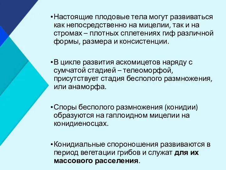 Настоящие плодовые тела могут развиваться как непосредственно на мицелии, так