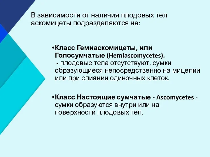 В зависимости от наличия плодовых тел аскомицеты подразделяются на: Класс