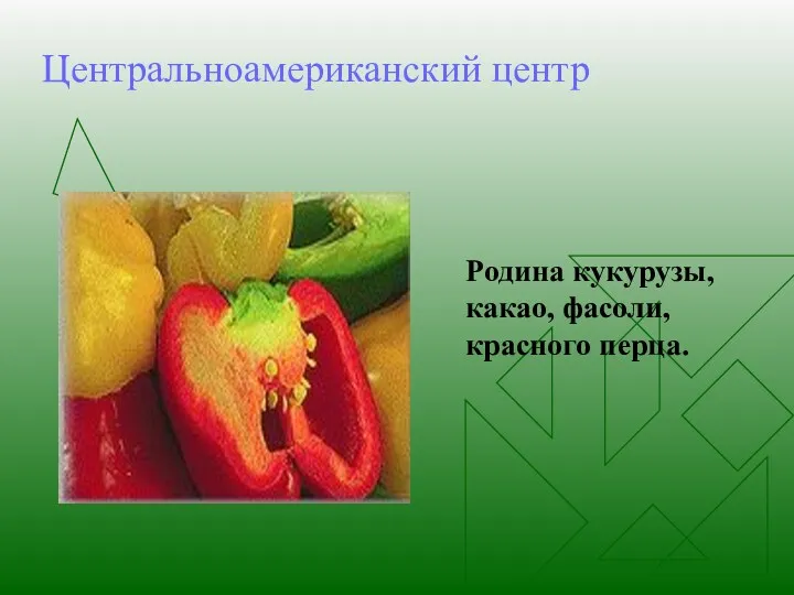 Центральноамериканский центр Родина кукурузы, какао, фасоли, красного перца.