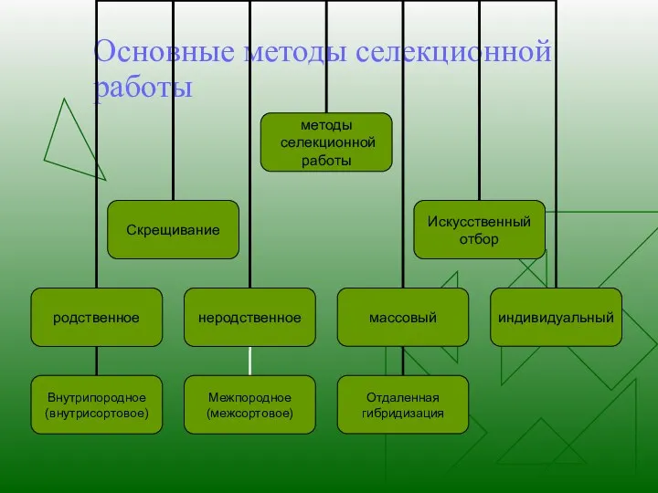 Основные методы селекционной работы