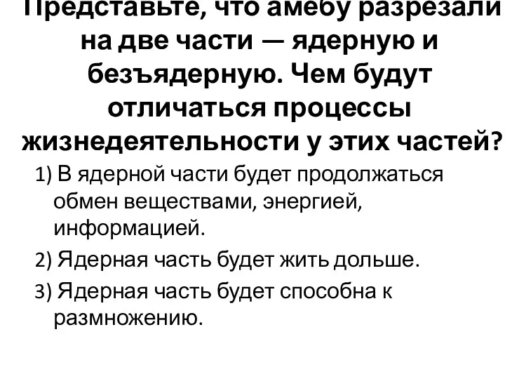 Представьте, что амёбу разрезали на две части — ядерную и