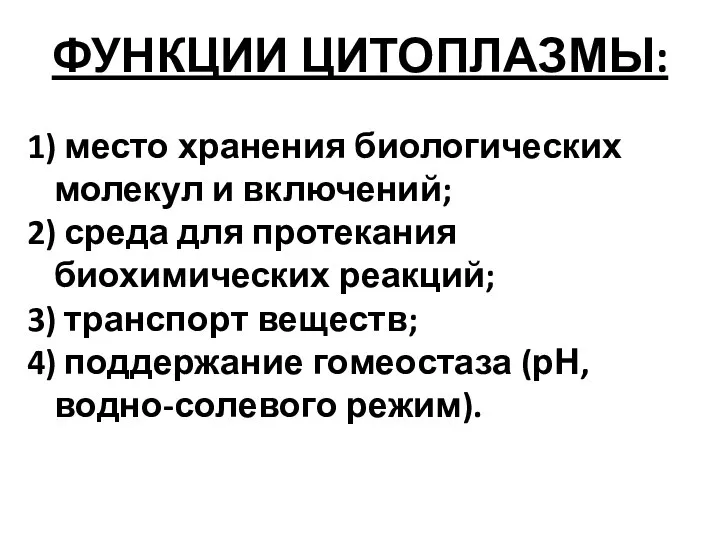 ФУНКЦИИ ЦИТОПЛАЗМЫ: 1) место хранения биологических молекул и включений; 2)