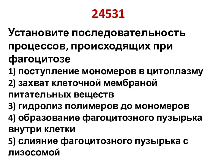 24531 Установите последовательность процессов, происходящих при фагоцитозе 1) поступление мономеров