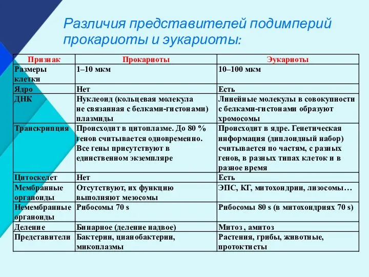 Различия представителей подимперий прокариоты и эукариоты: