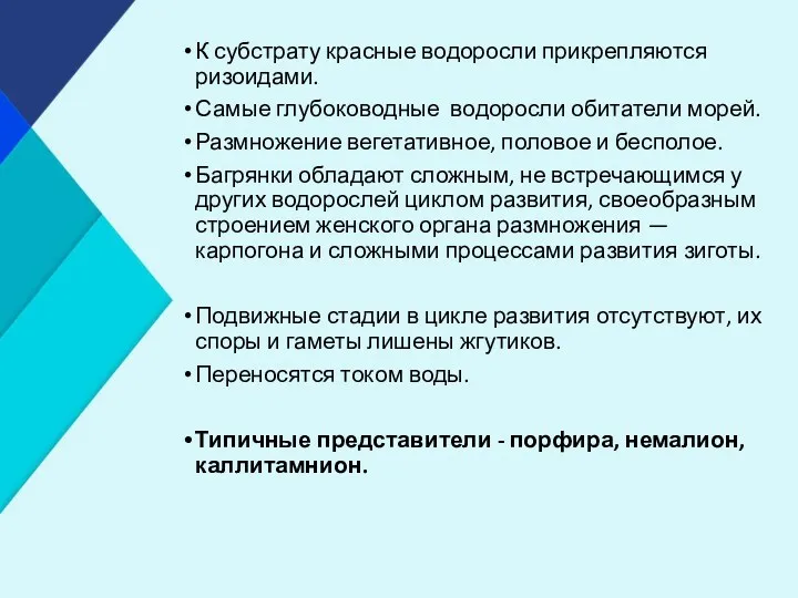 К субстрату красные водоросли прикрепляются ризоидами. Самые глубоководные водоросли обитатели