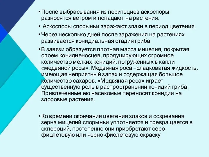 После выбрасывания из перитециев аскоспоры разносятся ветром и попадают на