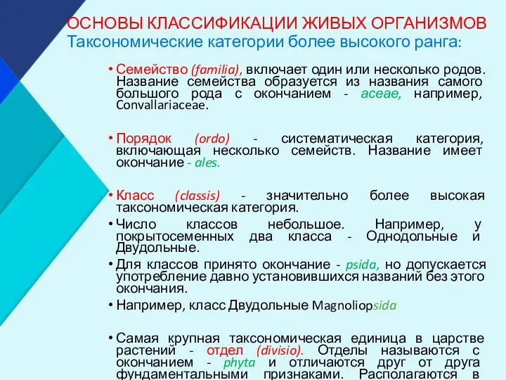 ОСНОВЫ КЛАССИФИКАЦИИ ЖИВЫХ ОРГАНИЗМОВ Таксономические категории более высокого ранга: Семейство