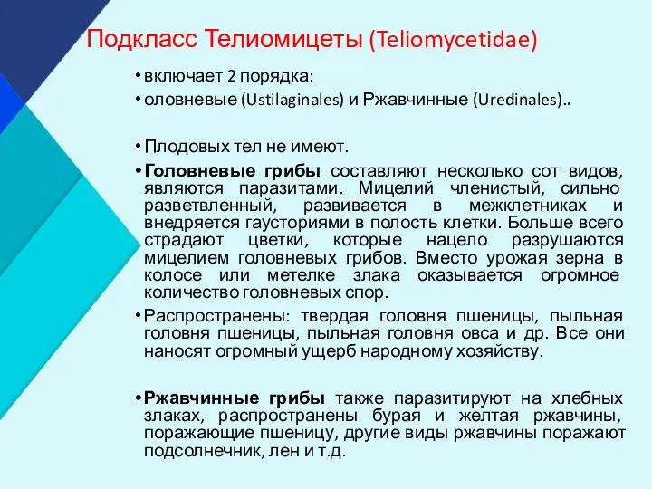 Подкласс Телиомицеты (Teliomycetidae) включает 2 порядка: оловневые (Ustilaginales) и Ржавчинные