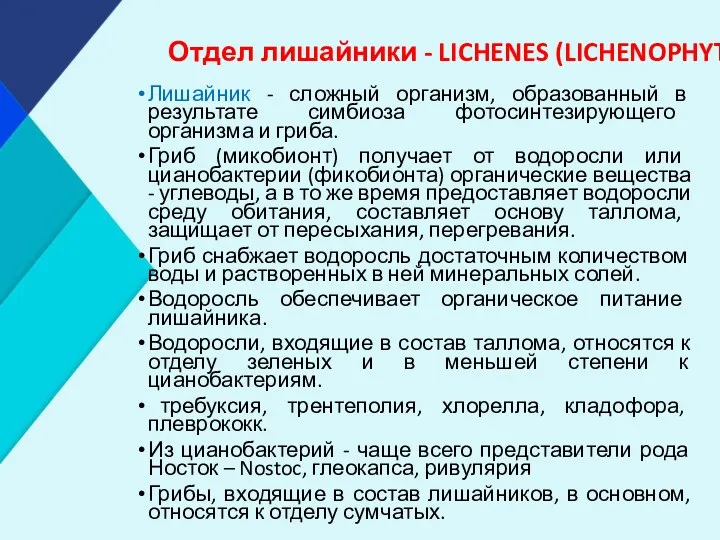 Отдел лишайники - LICHENES (LICHENOPHYTA). Лишайник - сложный организм, образованный