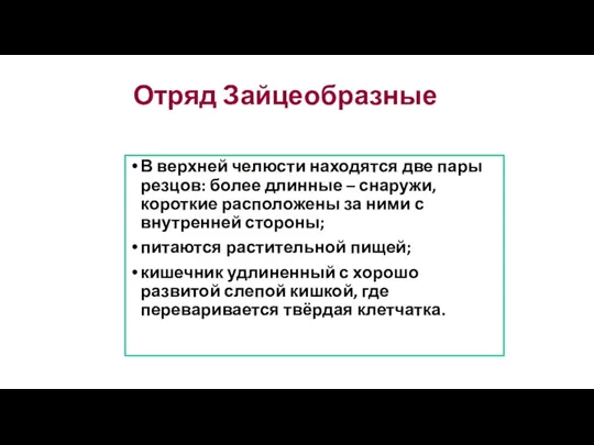 Отряд Зайцеобразные В верхней челюсти находятся две пары резцов: более