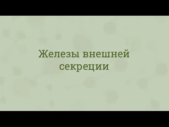 Железы внешней секреции