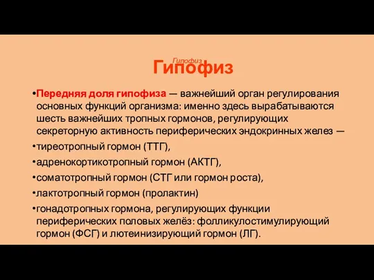 Гипофиз Передняя доля гипофиза — важнейший орган регулирования основных функций