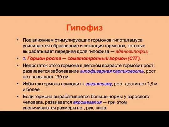 Гипофиз Под влиянием стимулирующих гормонов гипоталамуса усиливается образование и секреция