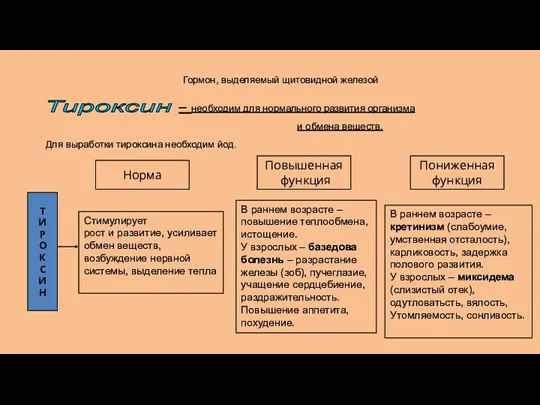 Гормон, выделяемый щитовидной железой – необходим для нормального развития организма